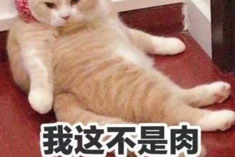 不知道,我的身材很曼妙!是什么意思