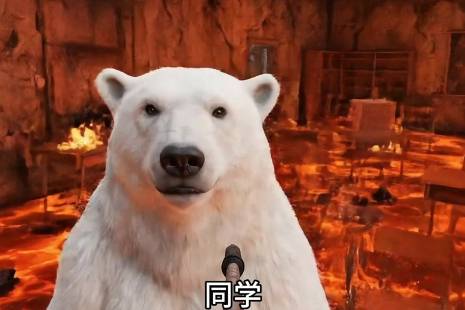 北极口音是什么意思