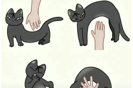 摸凹猫和摸凸猫是什么意思