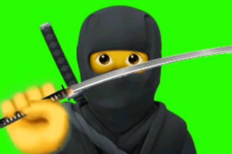 蕾忍宗是什么意思