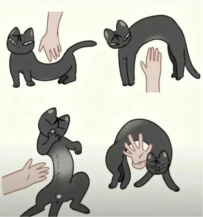 摸凹猫和摸凸猫