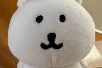 熊不熊有点丈化是什么意思