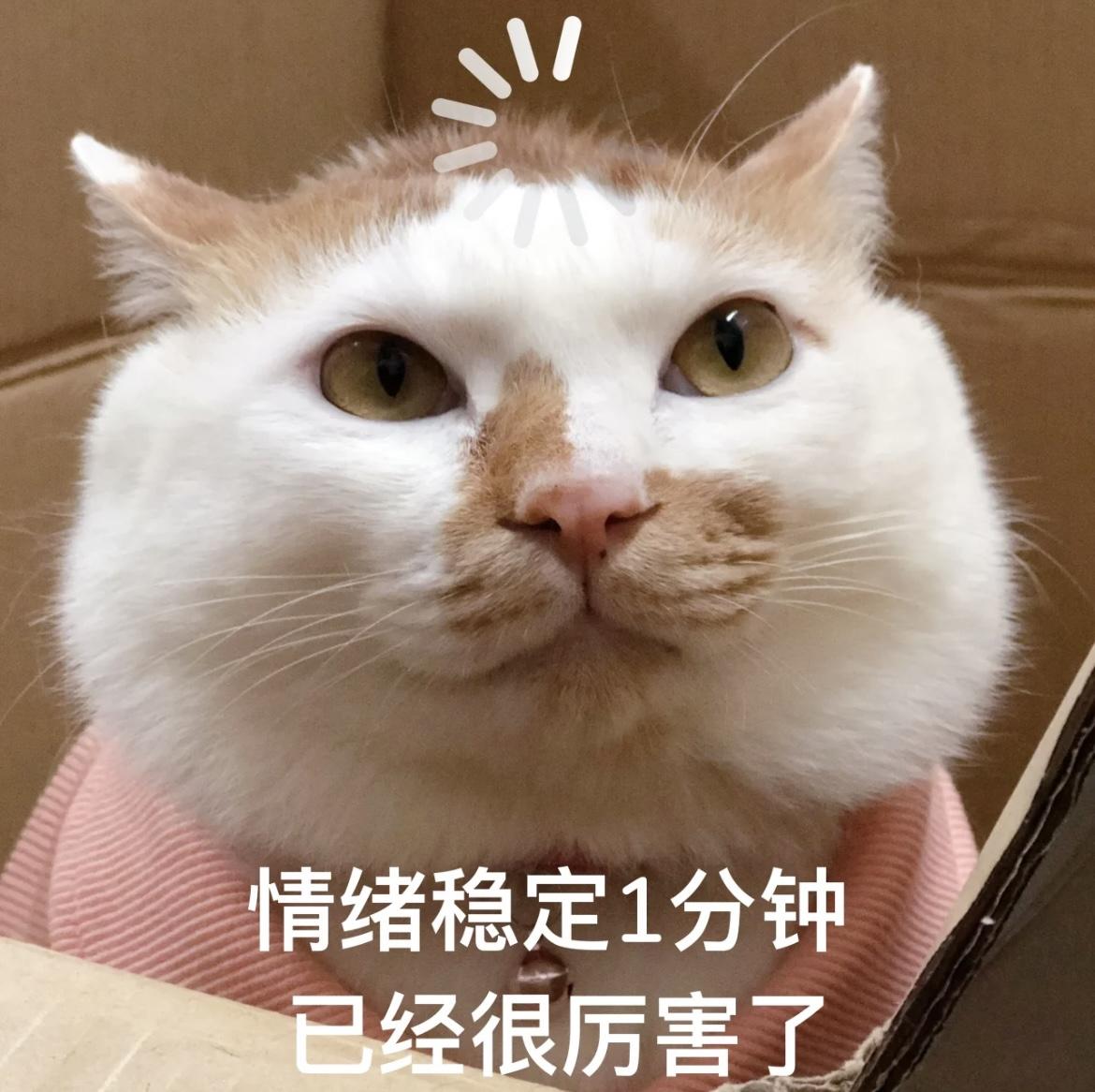 情绪好稳定想谈