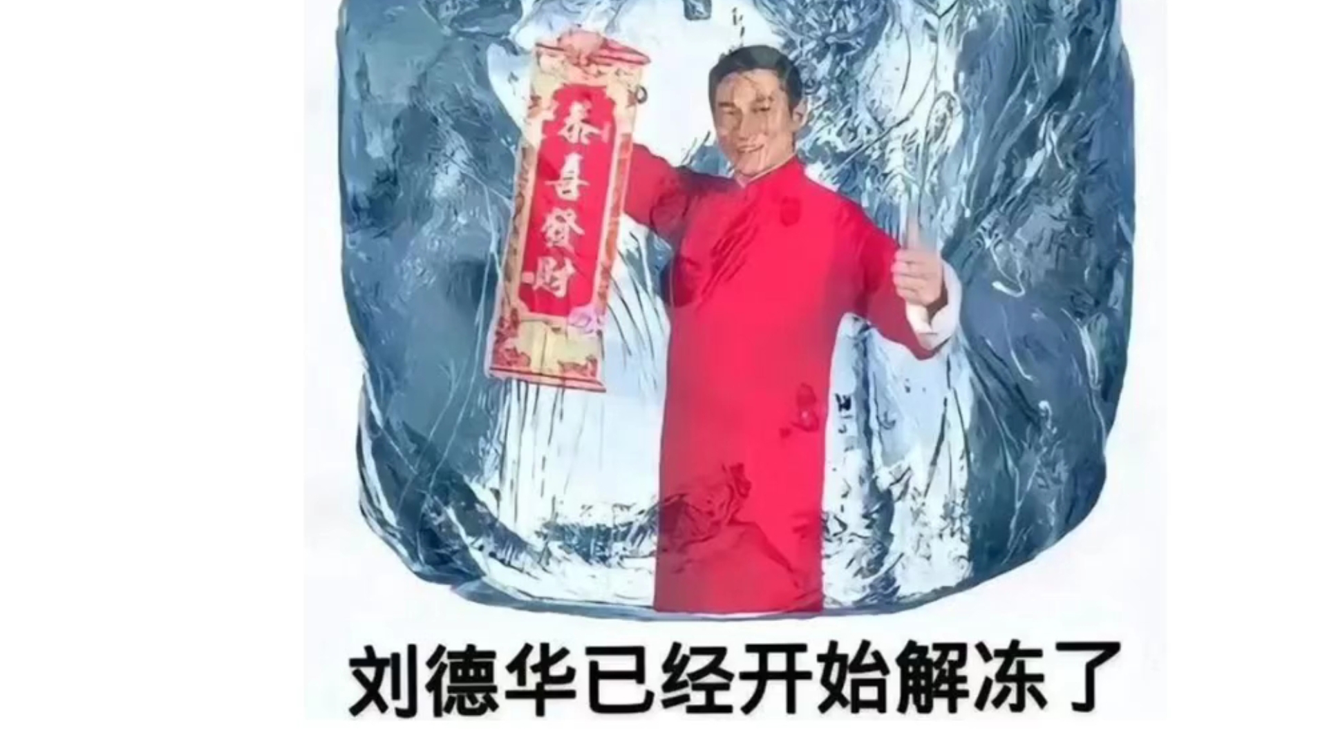 刘德华为你解冻百分之九十九
