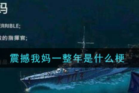 震撼我妈一整年是什么意思