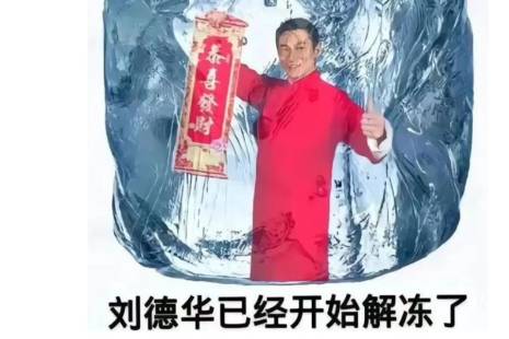 刘德华为你解冻百分之九十九是什么意思