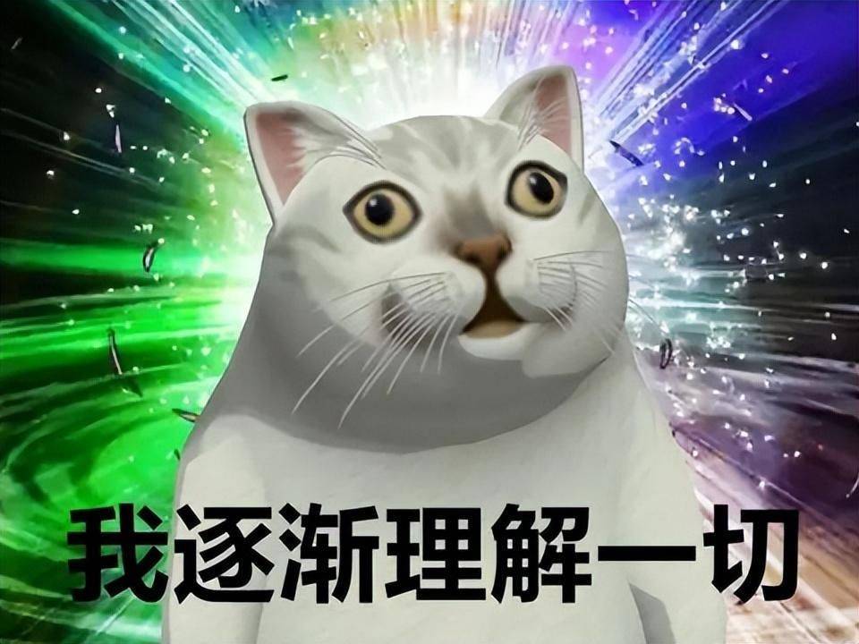 质疑xx，理解xx，成为xx