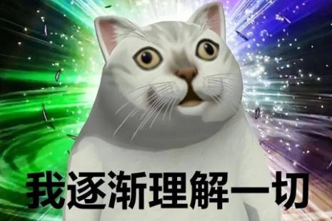 质疑xx，理解xx，成为xx是什么意思