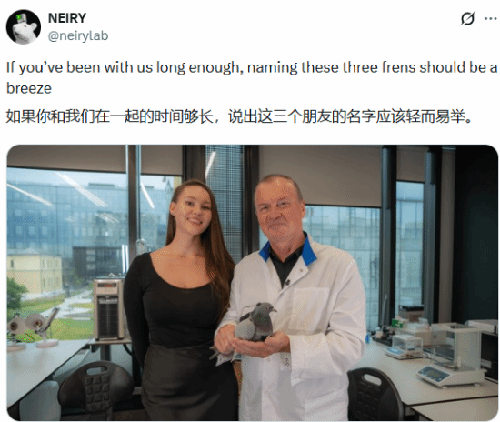 远程操控鸽子成“生物无人机”，神经植入技术开启新篇章‌