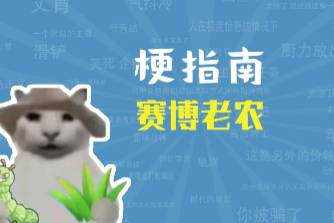 赛博老农是什么意思