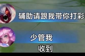 我本是辅助，今晚来打野