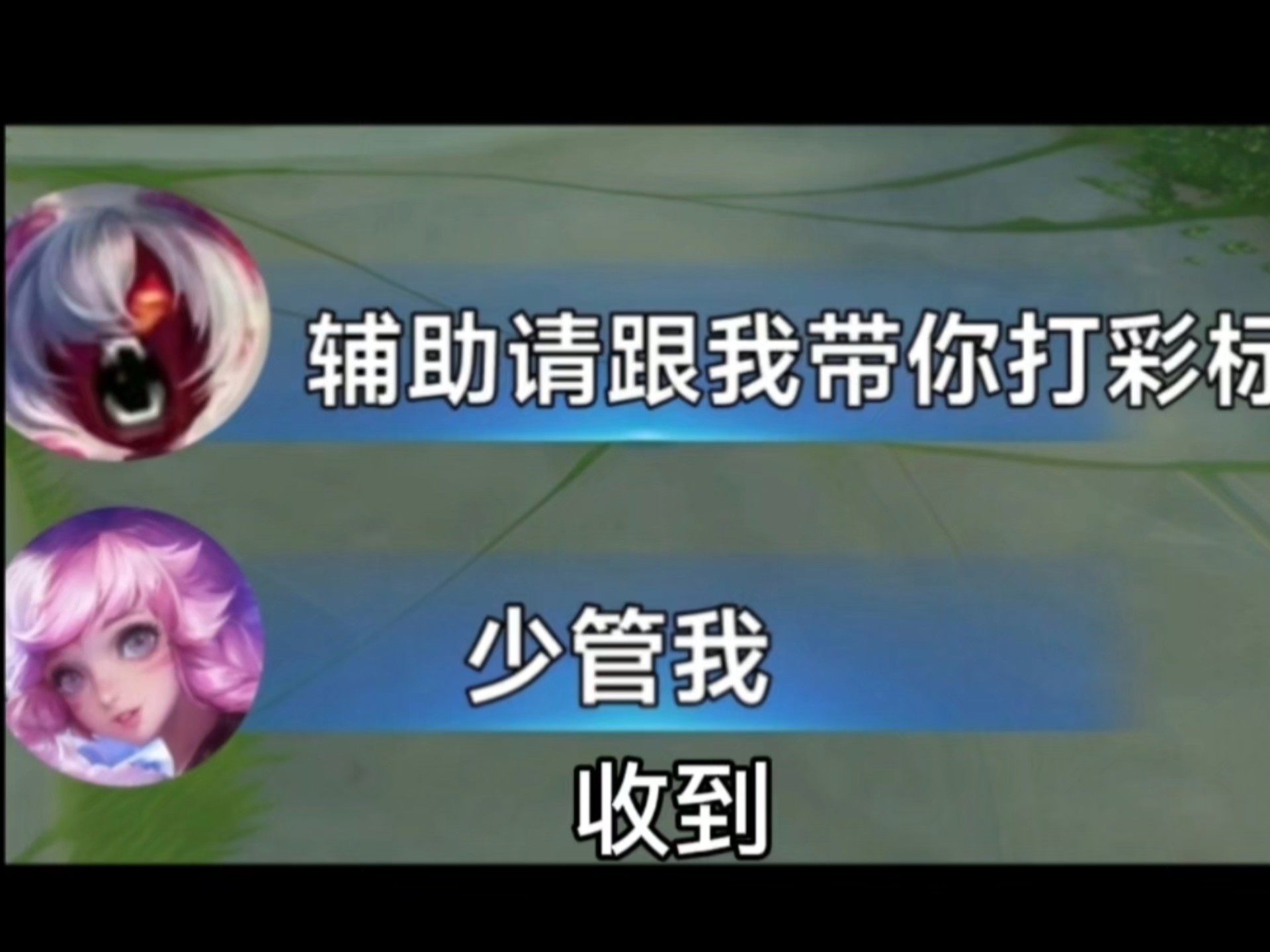 我本是辅助，今晚来打野