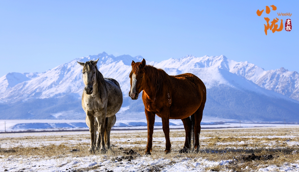 巳巳如意，福多顺意