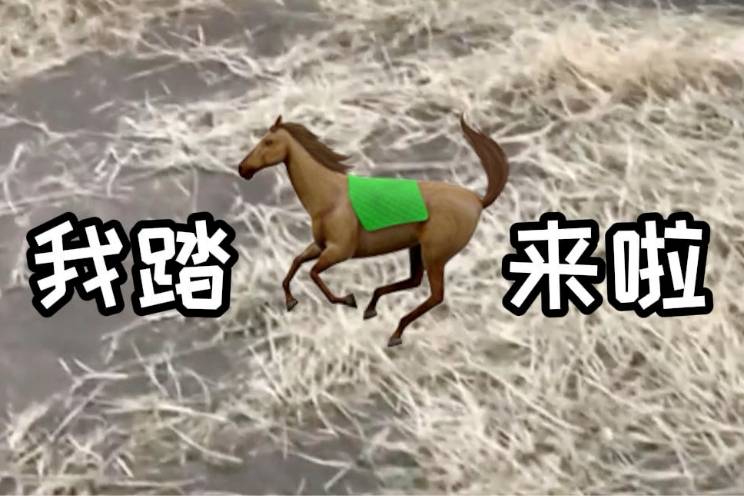 ‌我踏马来了‌是什么意思
