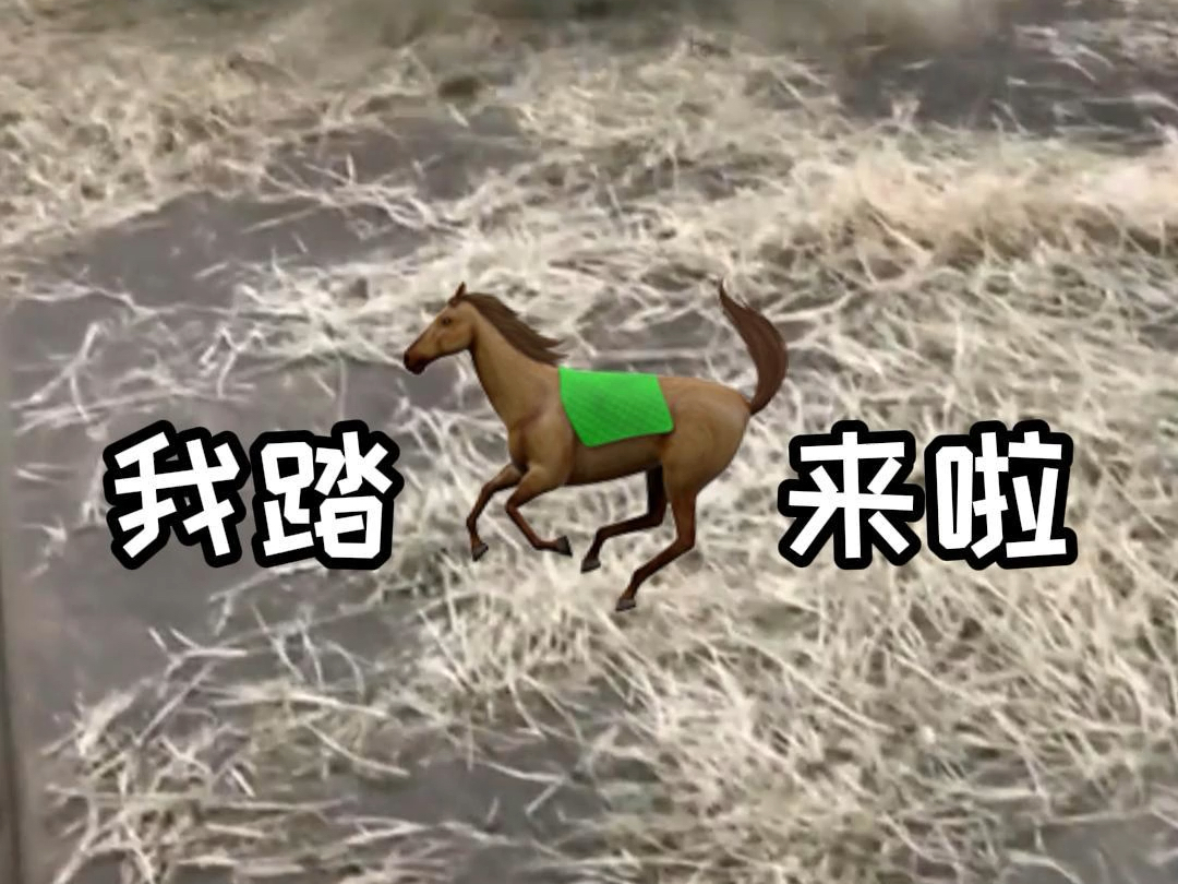‌我踏马来了‌