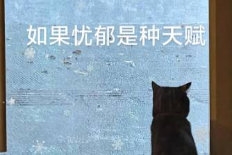 如果忧郁是种天赋