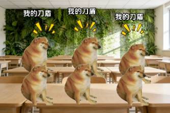 我的刀盾是什么意思