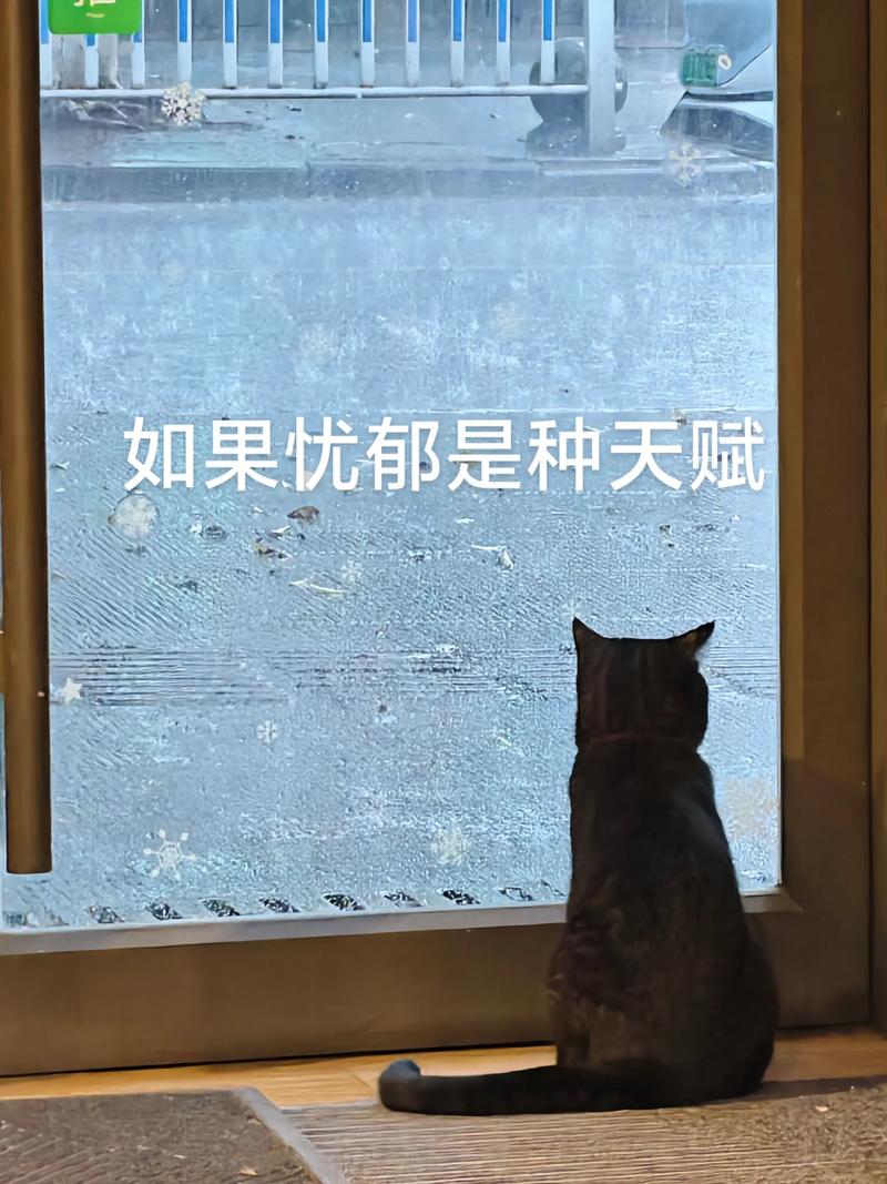 如果忧郁是种天赋