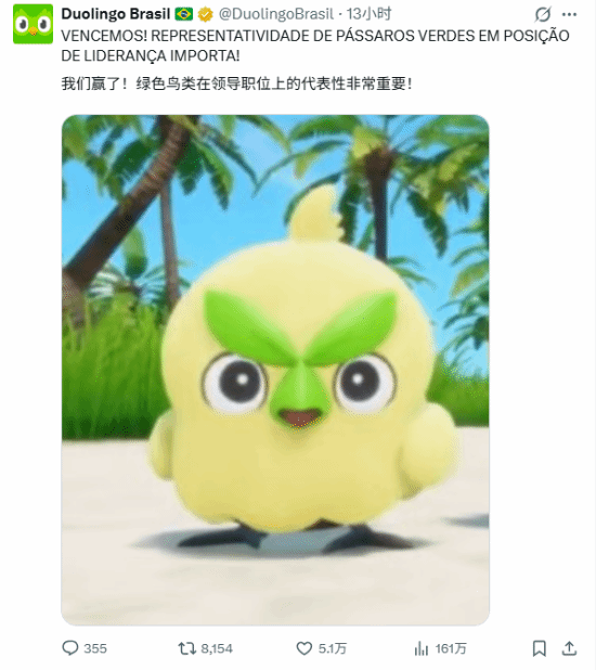 多邻国惊喜撞脸《宝可梦》御三家 叶眉鸟走红引网友热议