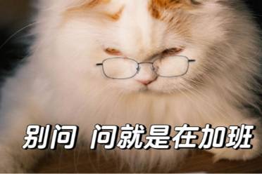 加班到吐，成何体统是什么意思