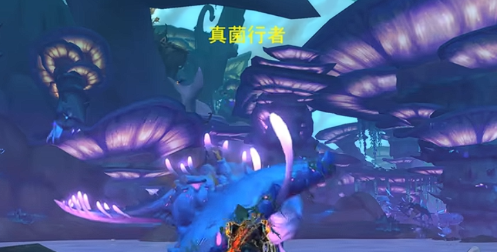 ?魔獸世界12.0“拉好仇恨放著我來”成就速成指南