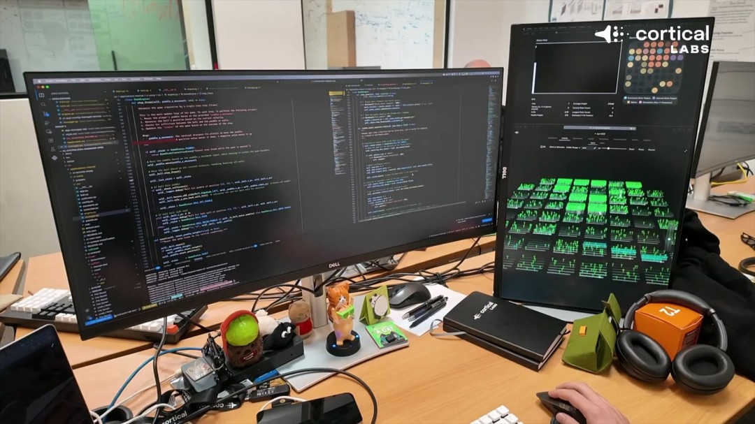 實(shí)驗(yàn)室培育腦細(xì)胞玩轉(zhuǎn)《毀滅戰(zhàn)士》引科技倫理思考