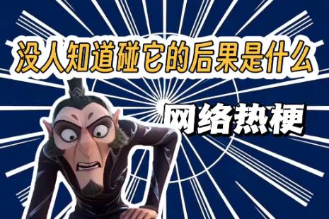 没有人知道碰他的后果是什么是什么意思