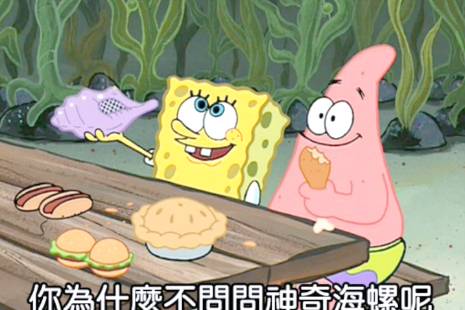 神奇海螺是什么意思