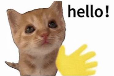 hello挥手meme是什么意思