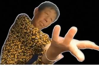 老奶学车是什么意思