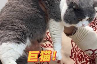 钓鱼佬式拍照是什么意思