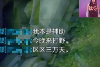 我本是辅助，今晚来打野‌是什么意思