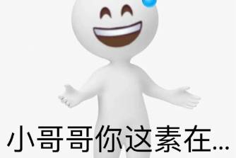 这素在是什么意思