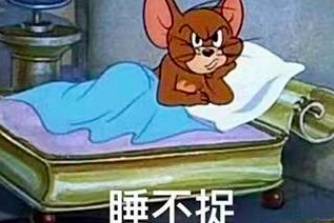 女?huà)z你睡了嗎，我丑得睡不著是什么意思