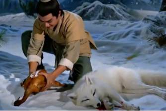 你可曾在雪山救过一只狐狸?是什么意思