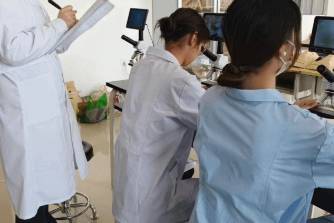 学术站姐是什么意思