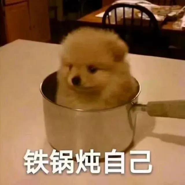 铁锅炖自己