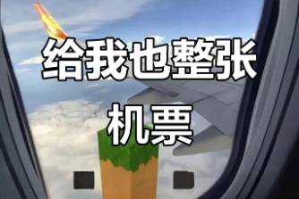 给我也整张机票呗是什么意思