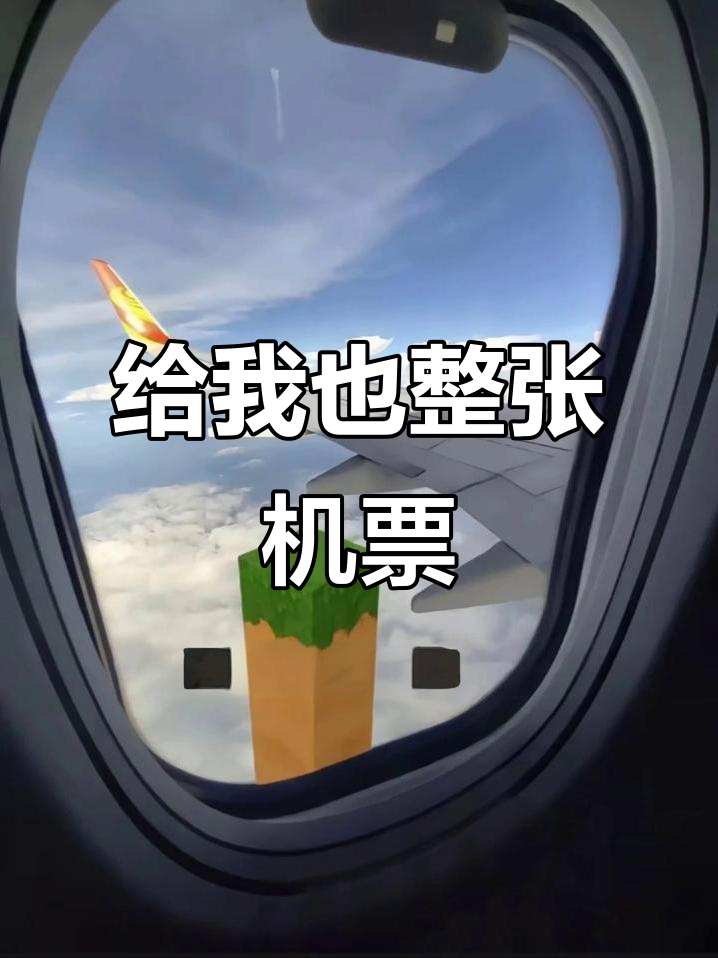 給我也整張機(jī)票唄