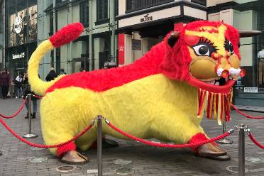Chinamaxxing是什么意思