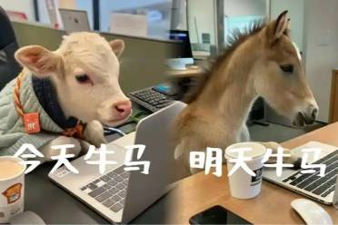 牛马TI指数