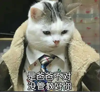 现在我是你爹了