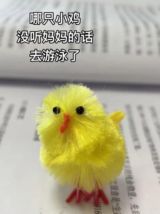 哪只小雞沒聽媽媽的話