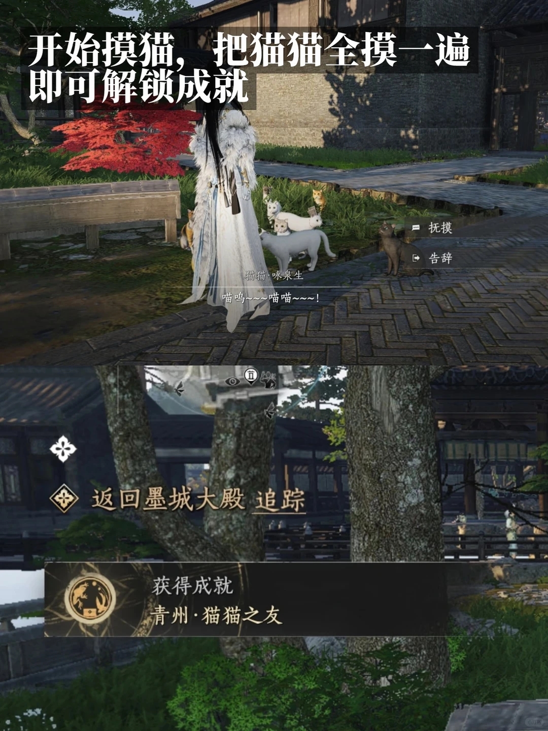 ?《燕云十六聲》青州貓貓之友成就獲取指南