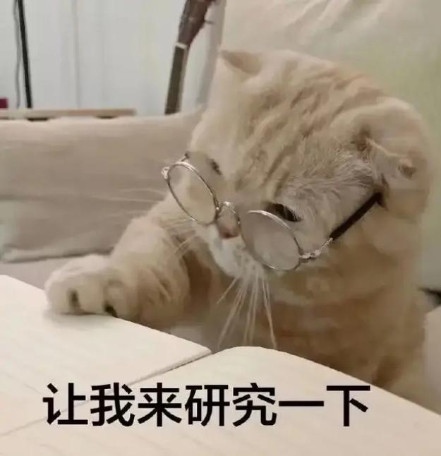我将全职在家研究这个