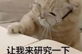 我将全职在家研究这个是什么意思