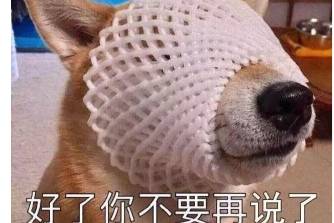 我们不说XX但可以说XX是什么意思
