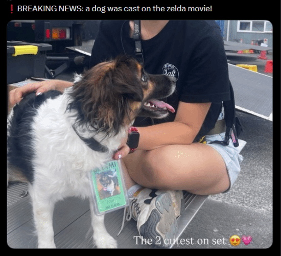 《塞爾達(dá)傳說》真人電影海拉魯獵犬片場(chǎng)照疑曝光