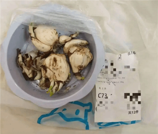 盒马分拣失误水仙当百合遭罚,误食事件引关注