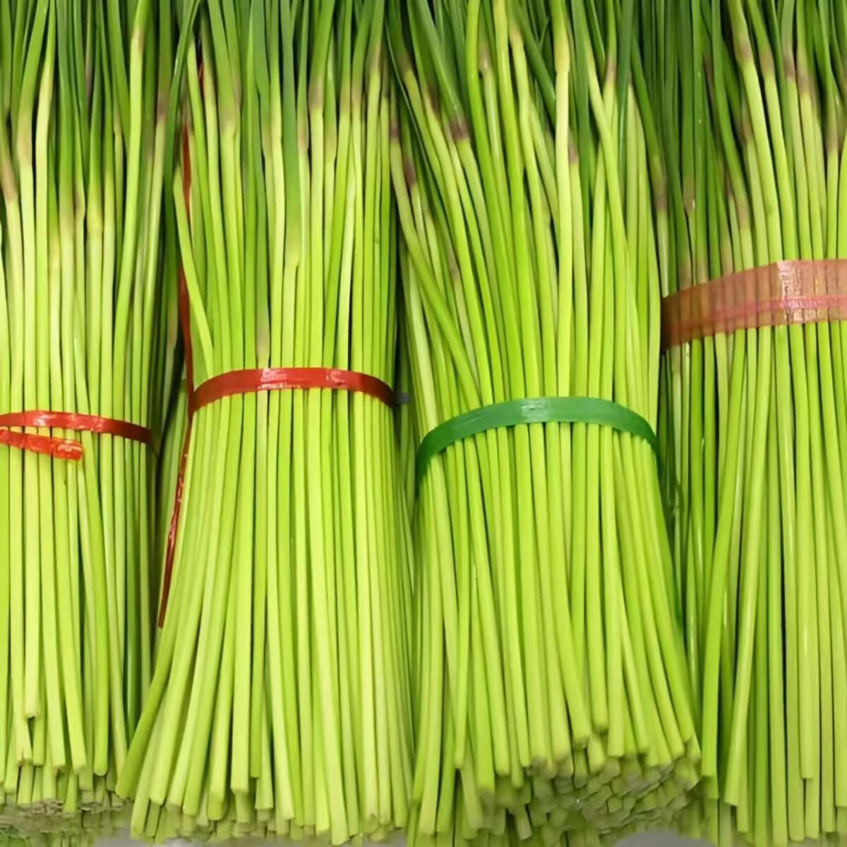 要蒜苔吗?